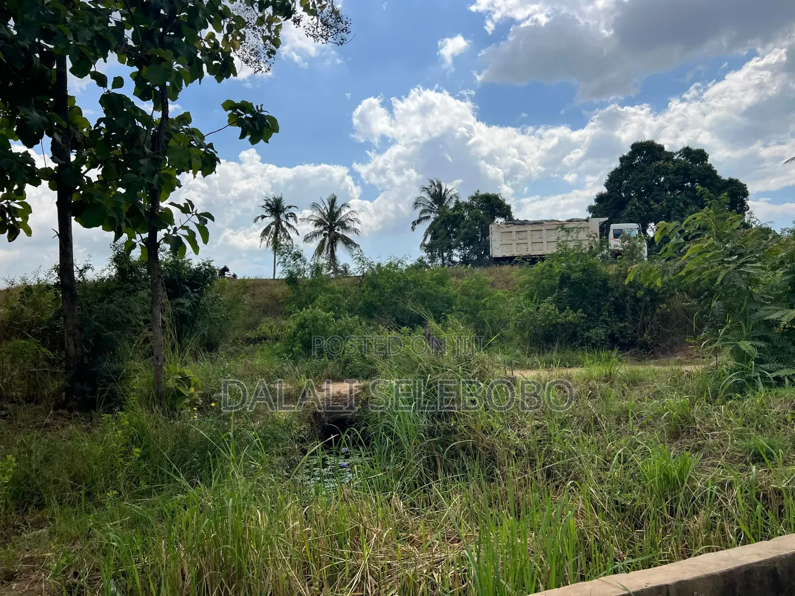 5hector at Bagamoyo Mapinga Investment Area in Zinga