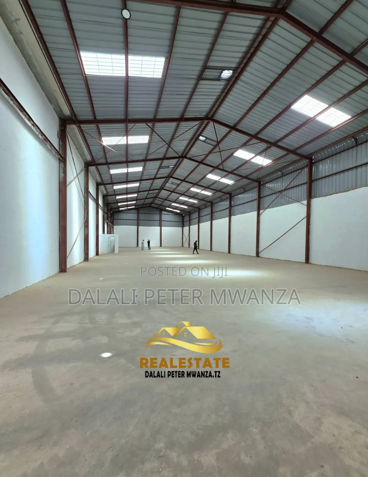 Dalali Peter Mwanzatz in Ilemela Ward