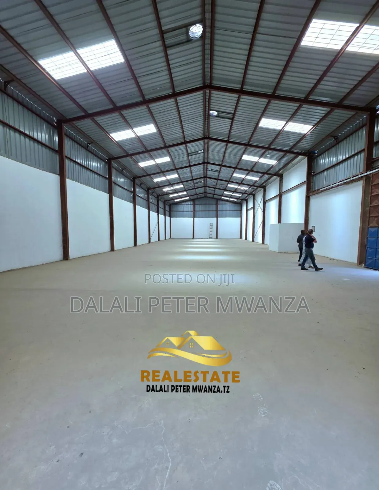 Dalali Peter Mwanzatz in Ilemela Ward