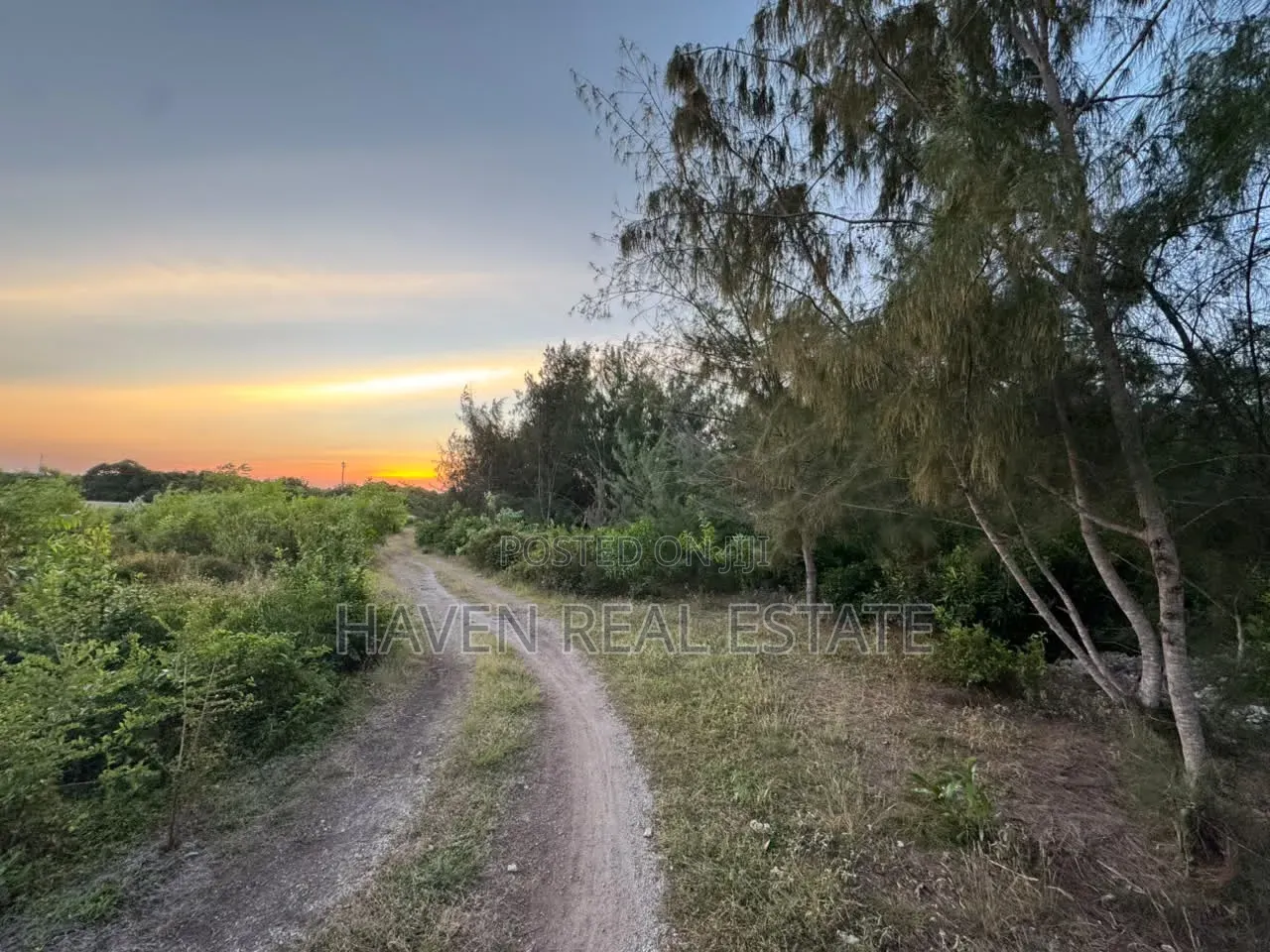 Premium Development Plot for Sale at Jambiani Zanzibar in Kaskazini A