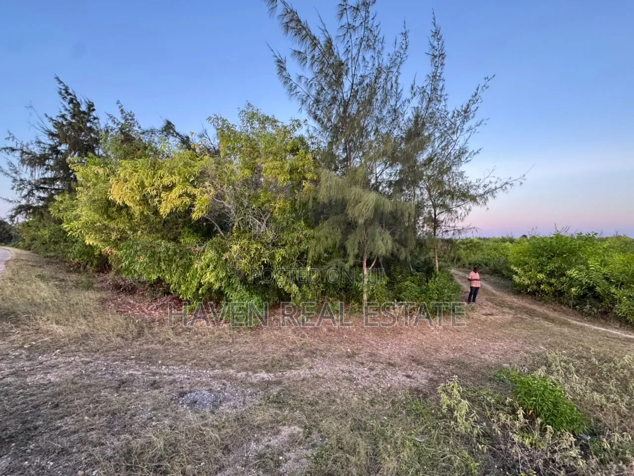 Premium Development Plot for Sale at Jambiani Zanzibar in Kaskazini A