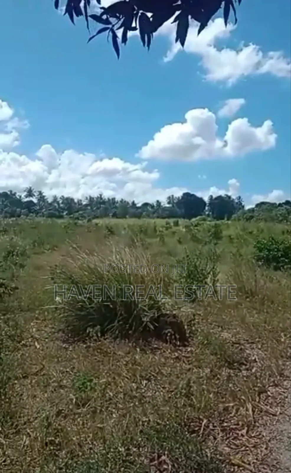 10 Acres Zinauzwa Mkuranga in Kimanzichana