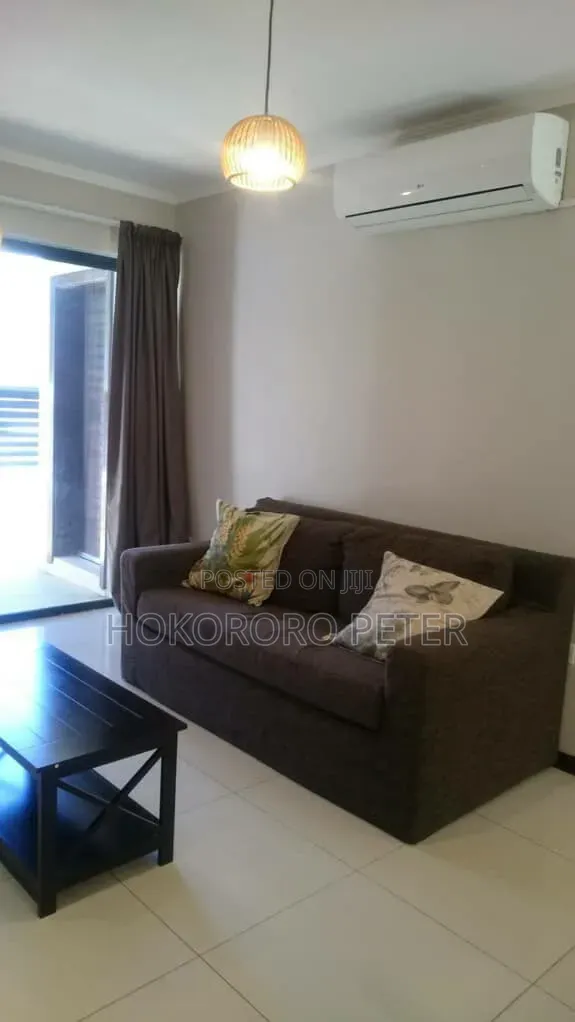Furnished 2bdrm Apartment in Msasani, Kinondoni for rent in Kinondoni