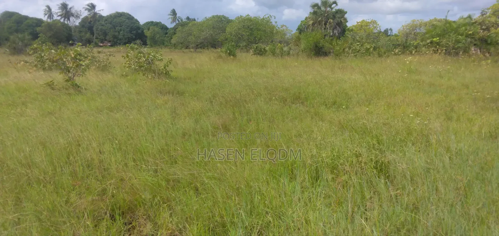 Shamba 80km From DSM in Kimanzichana