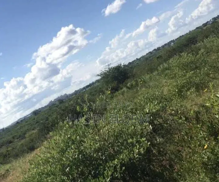 Shamba 80km From DSM in Kimanzichana