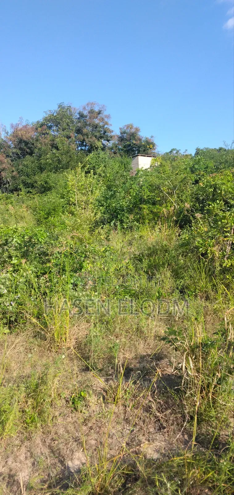 Surveyed Farm Land 60km From DSM City Center in Msanga