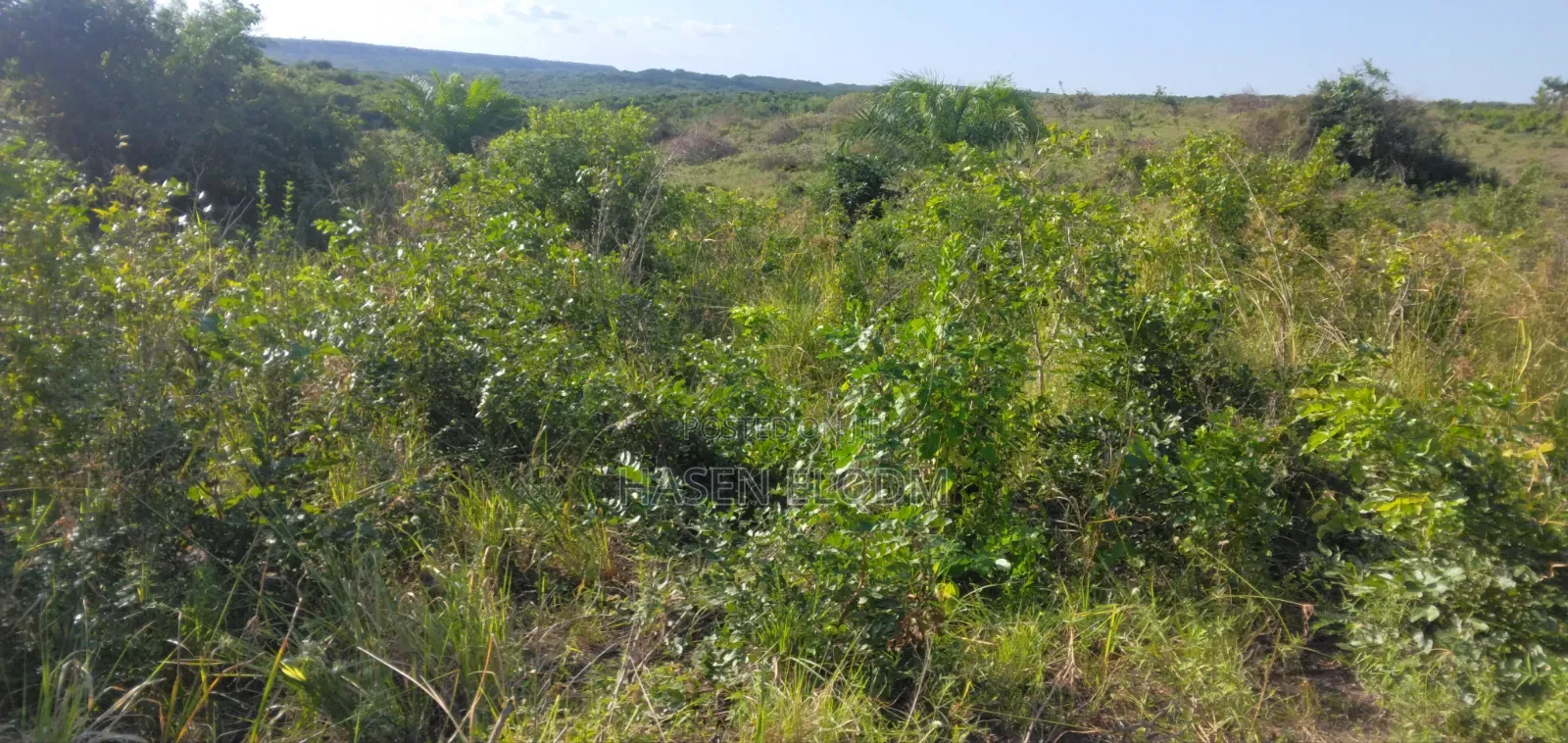 Surveyed Farm Land 60km From DSM City Center in Msanga