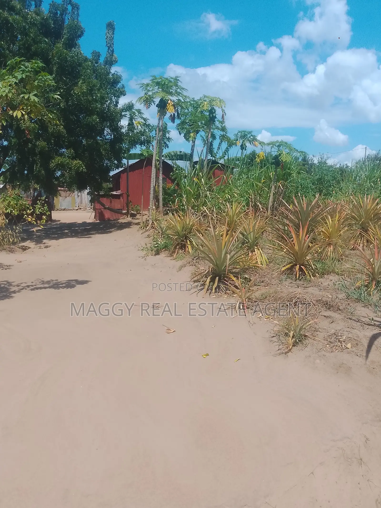 SQMTS 1907 Kiwanja Kinauzwa, Mapinga, Bagamoyo in Zinga