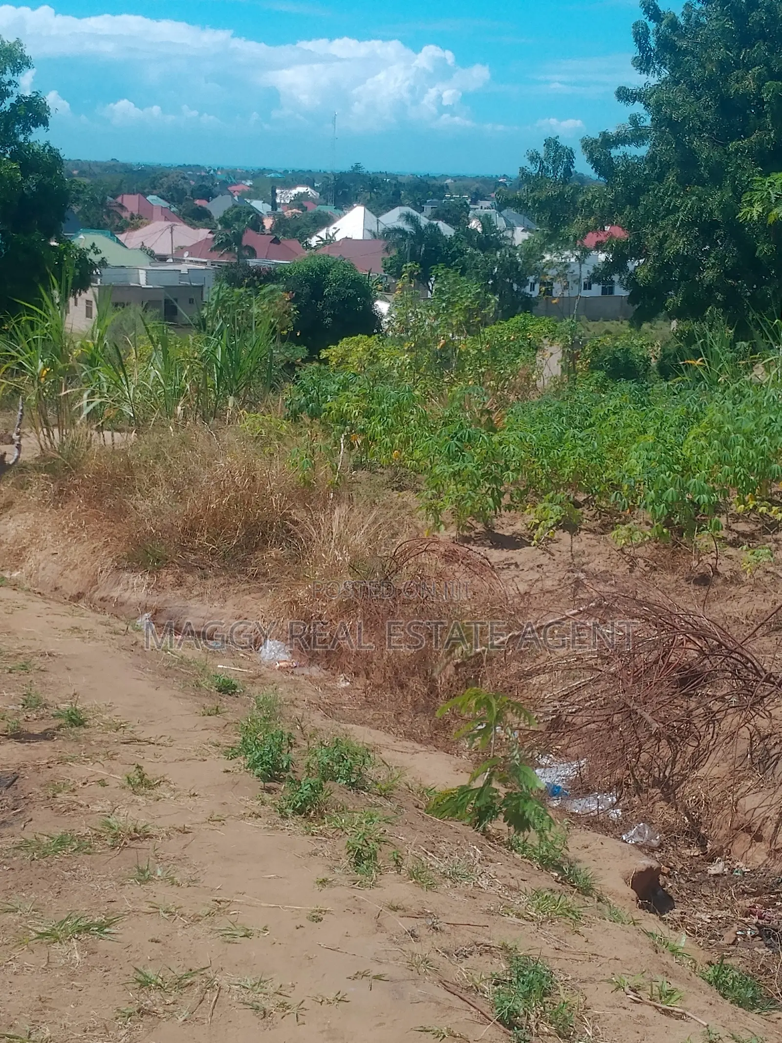 SQMTS 1907 Kiwanja Kinauzwa, Mapinga, Bagamoyo in Zinga
