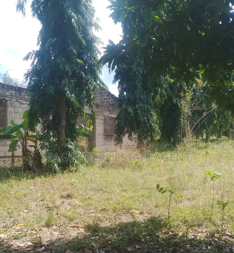 Kiwanja Kinauzwa, Bunju in Bunju