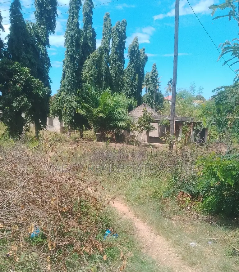 Kiwanja Kinauzwa, Bunju in Bunju