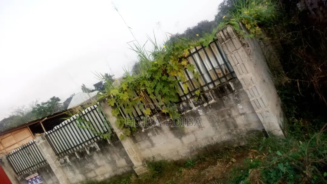 540 SQMS Plot for Sale in Morogoro in Misufini