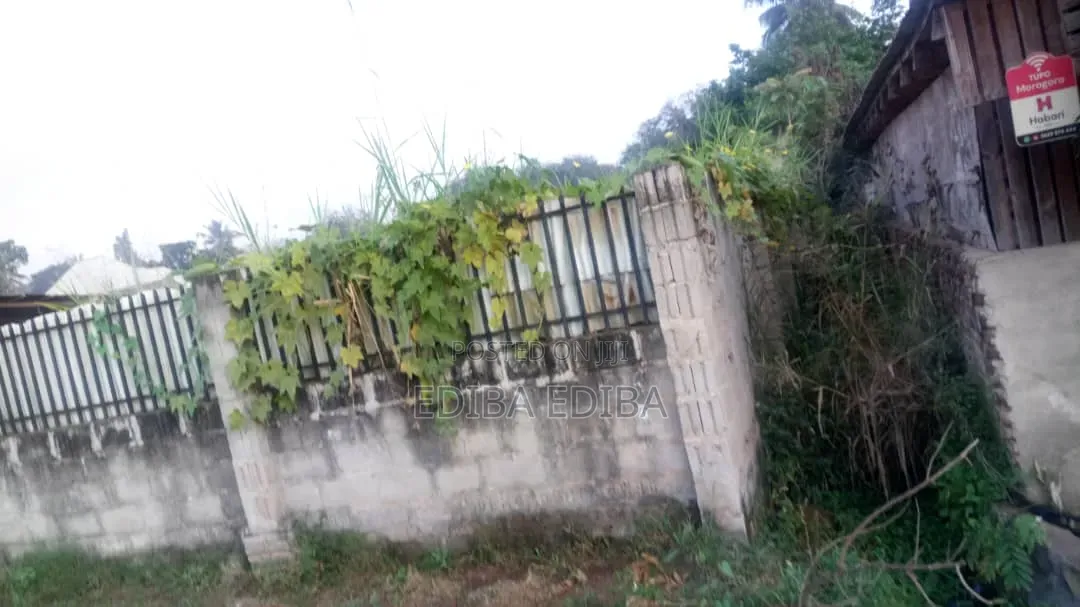 540 SQMS Plot for Sale in Morogoro in Misufini