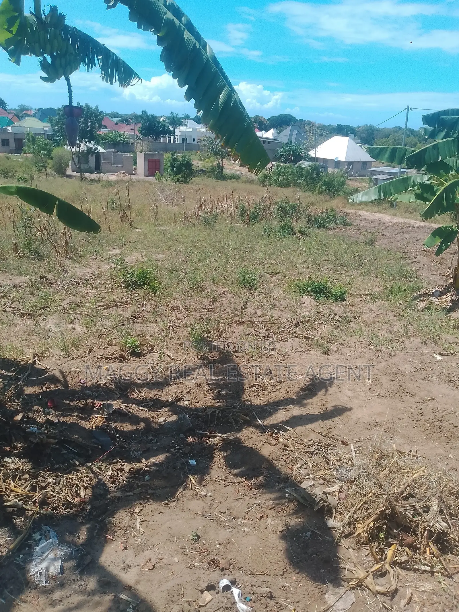 Kiwanja Kinauzwa, Mapinga, Bagamoyo in Zinga