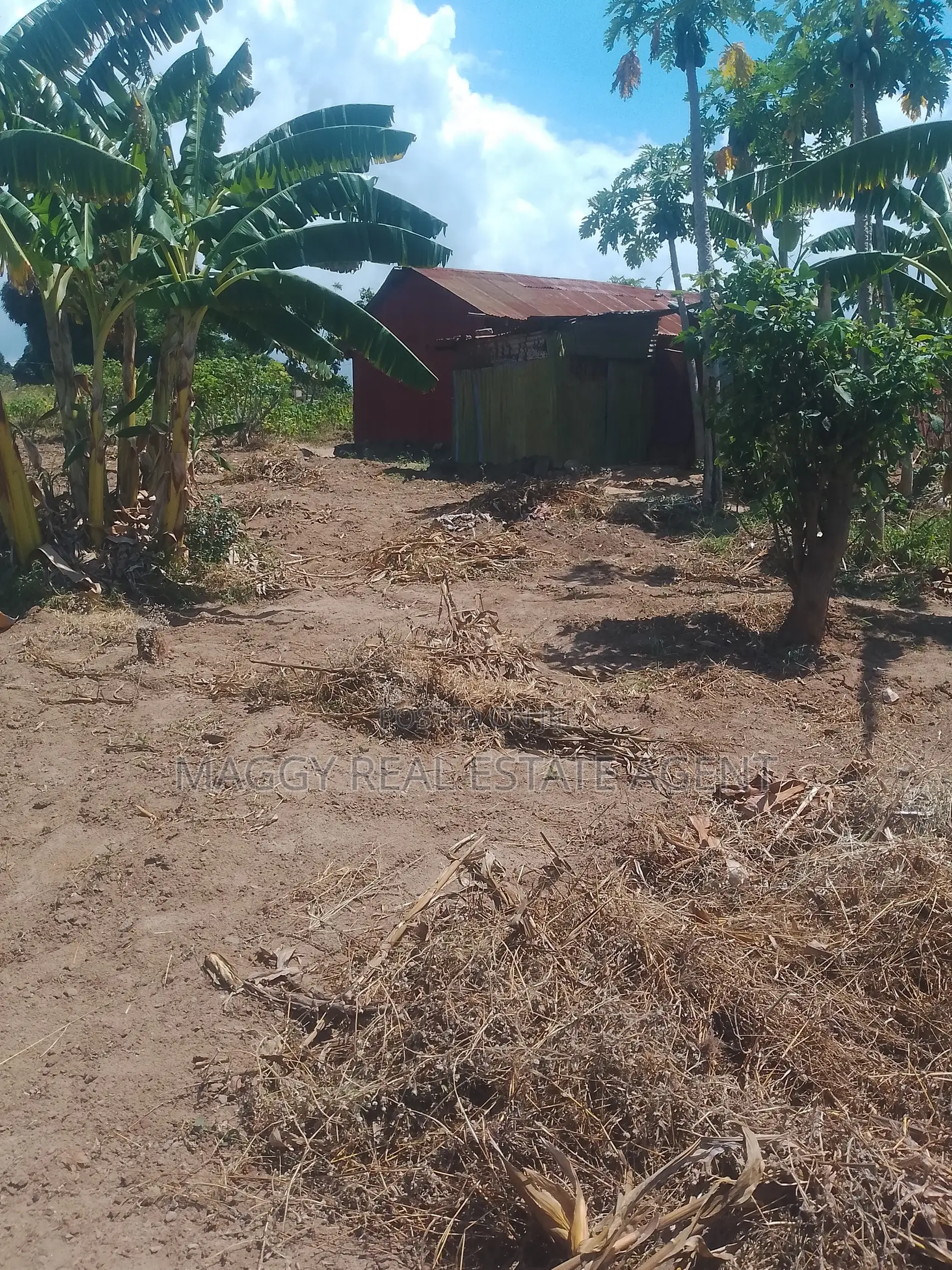 Kiwanja Kinauzwa, Mapinga, Bagamoyo in Zinga