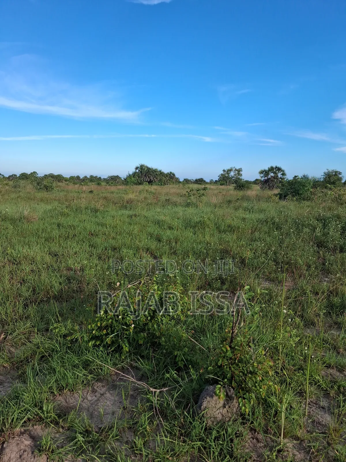 Kiwanja Kinauzwa SQM 2170 in Pemba Mnazi