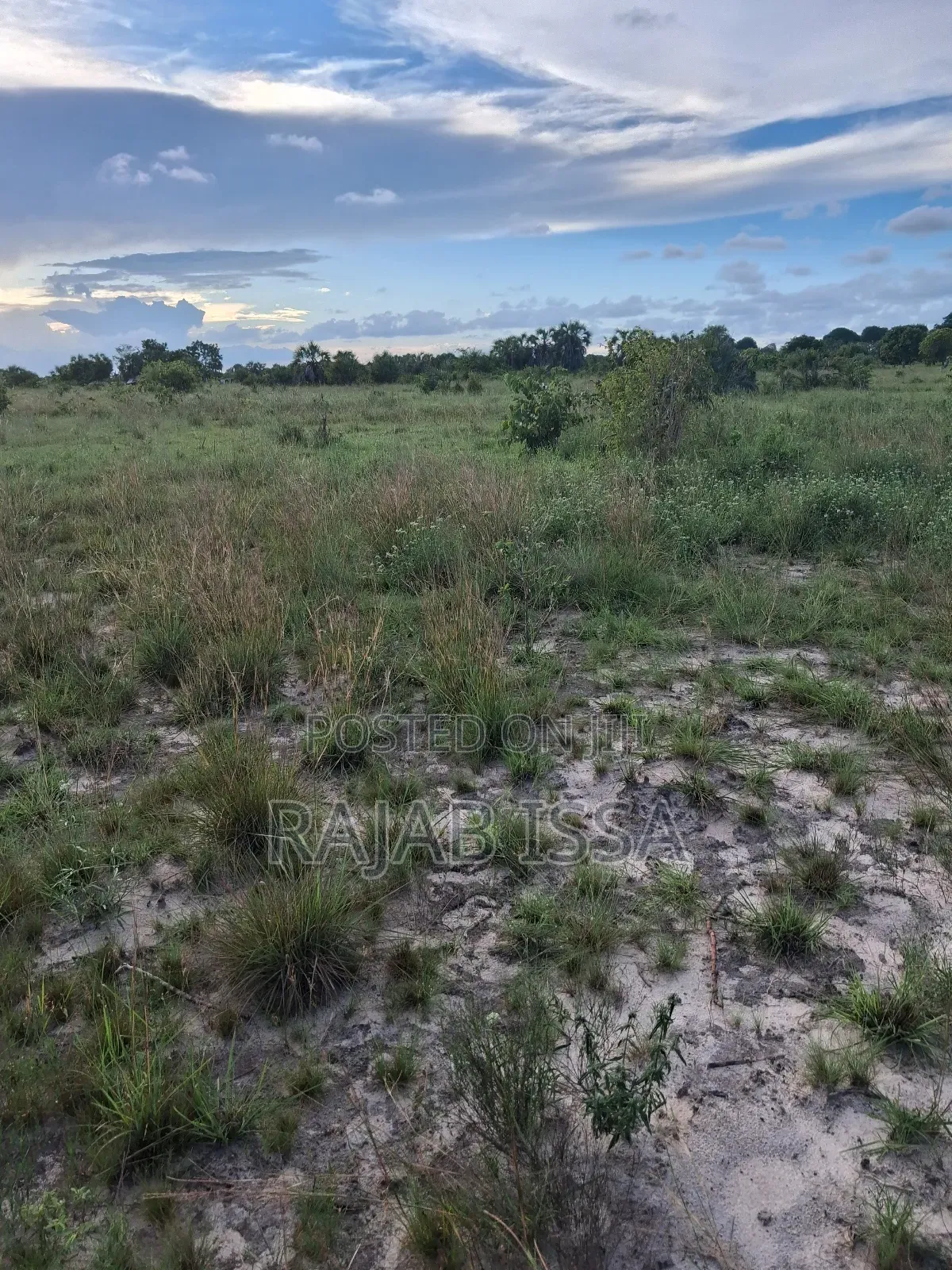 Kiwanja Kinauzwa SQM 2170 in Pemba Mnazi