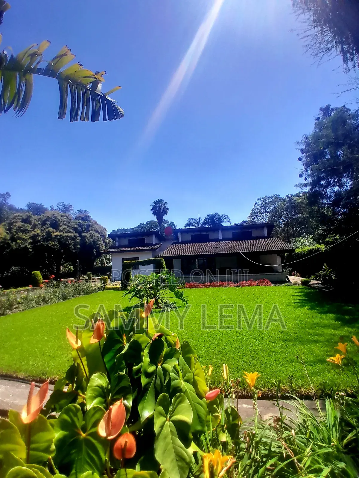 Furnished 3bdrm House in Sammy Saidy, Central Business Area for rent in Central Business Area
