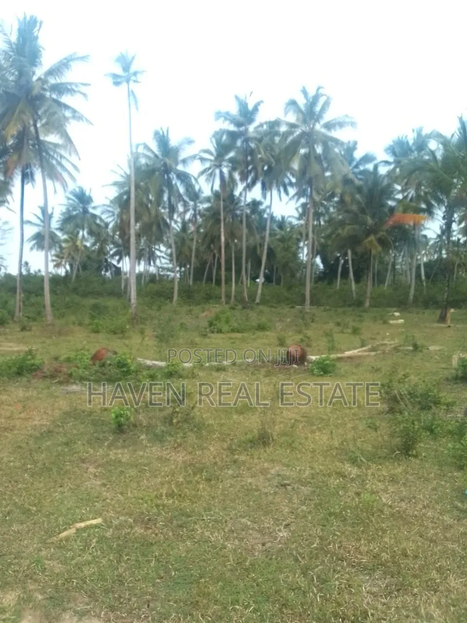 Viwanja Vinauzwa Mwera Zanzibar in Mjini
