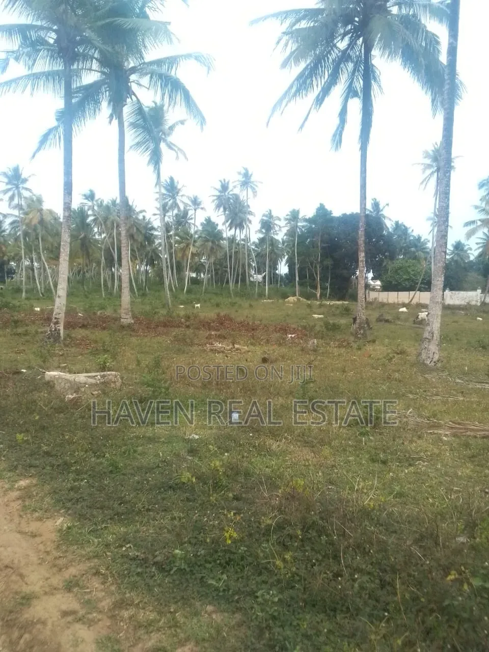 Viwanja Vinauzwa Mwera Zanzibar in Mjini