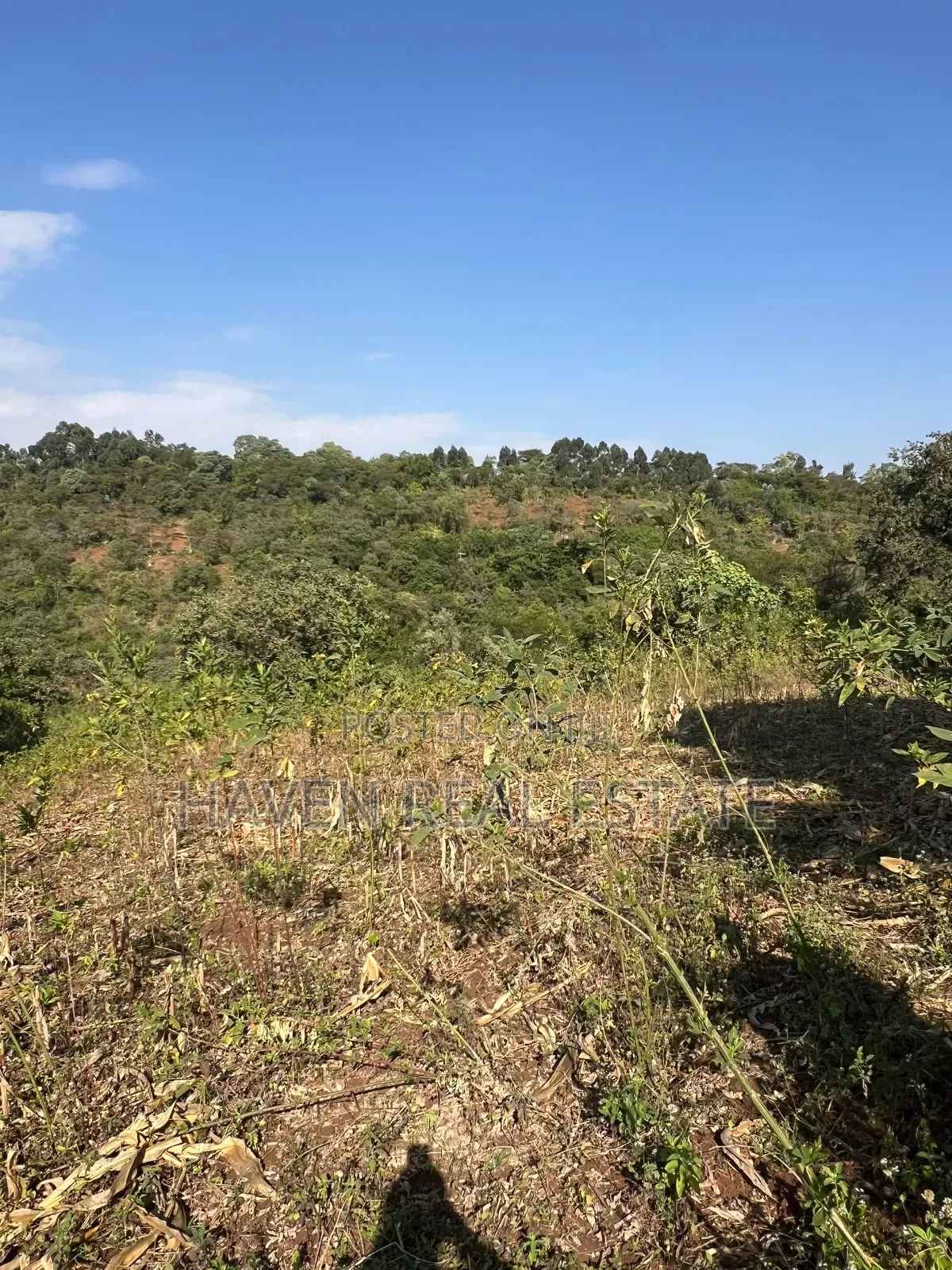 11Acres With Stunning Forest View for Sale in Rhotia-Marera, Karatu* in Central Business Area