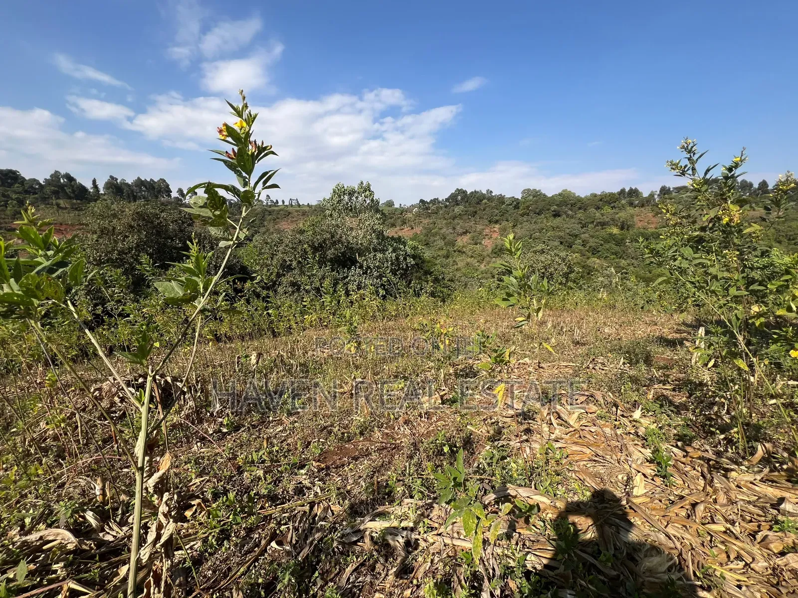 11Acres With Stunning Forest View for Sale in Rhotia-Marera, Karatu* in Central Business Area