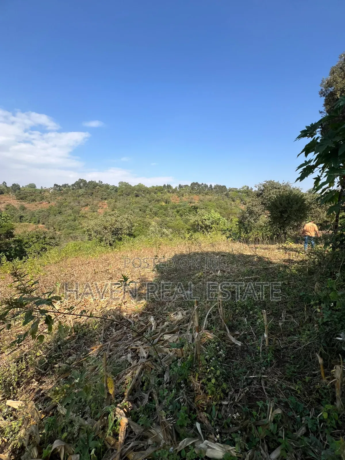 11Acres With Stunning Forest View for Sale in Rhotia-Marera, Karatu* in Central Business Area