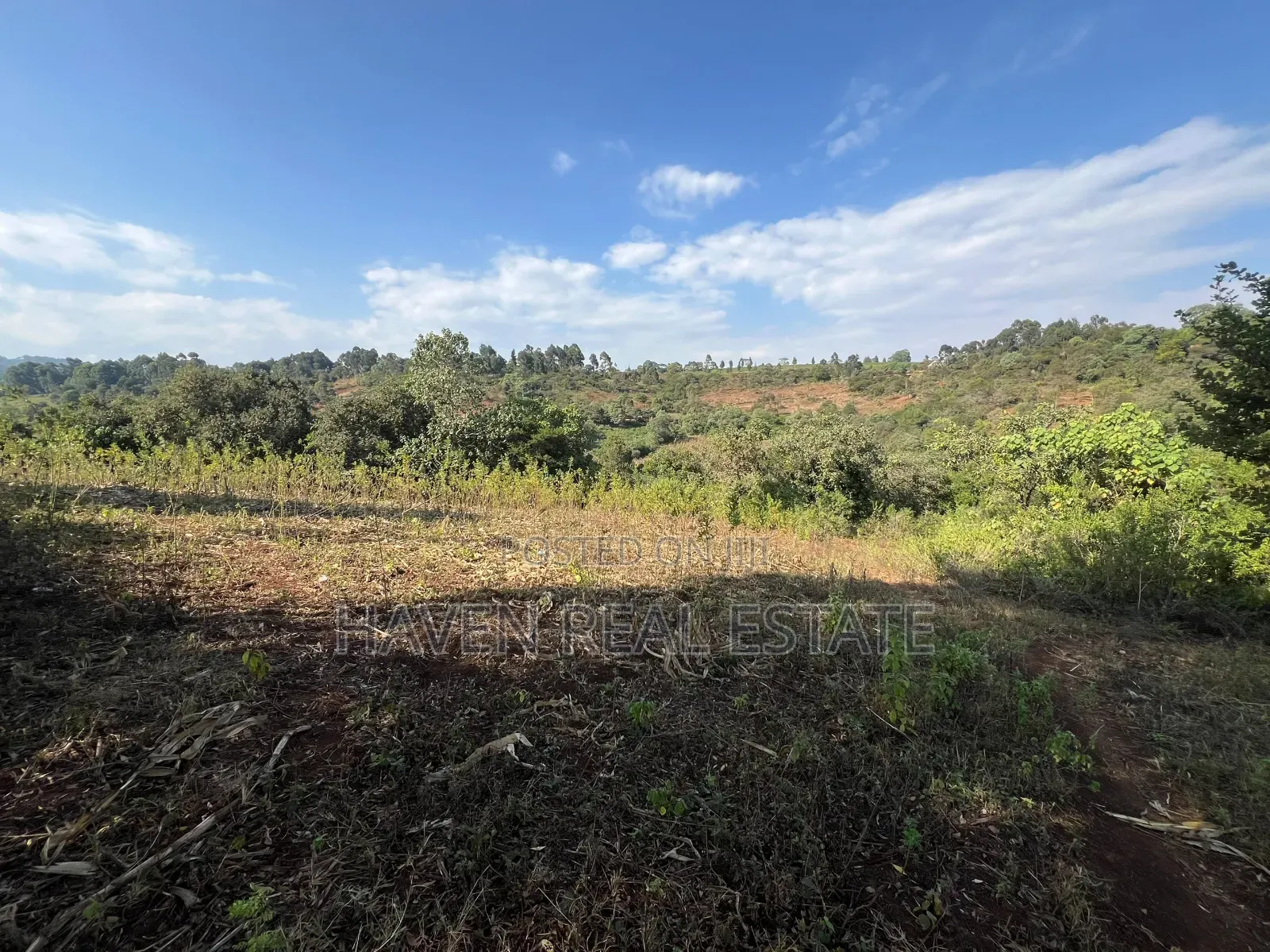 11Acres With Stunning Forest View for Sale in Rhotia-Marera, Karatu* in Central Business Area