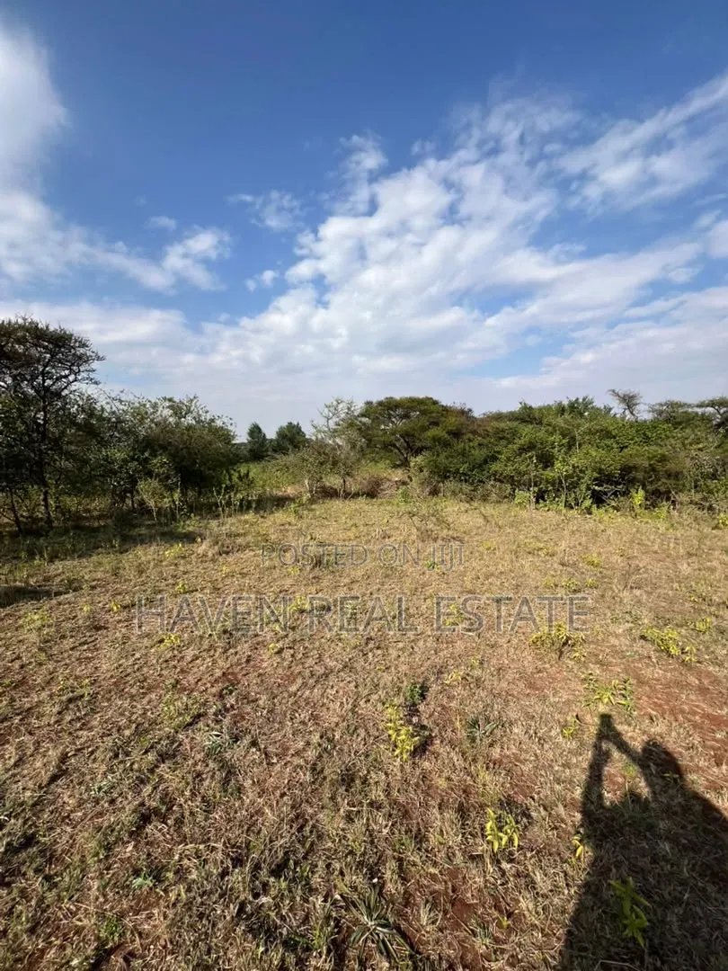 Rare Investment 3-Acre Panoramic View Plot in Kilimatembo, Karatu in Central Business Area