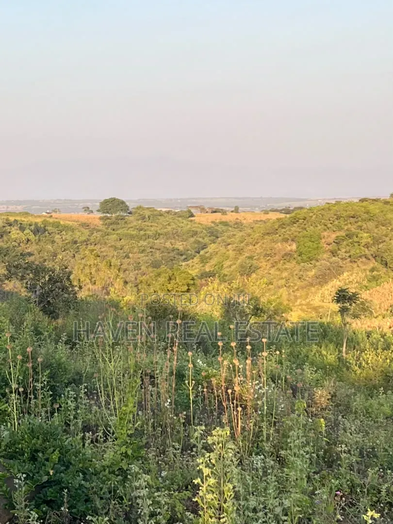 5 Acres With Lake Manyara Manyara Airport View for Sale in Karatu* in Rhotia