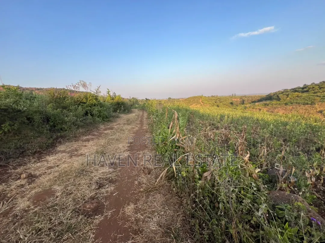 5 Acres With Lake Manyara Manyara Airport View for Sale in Karatu* in Rhotia