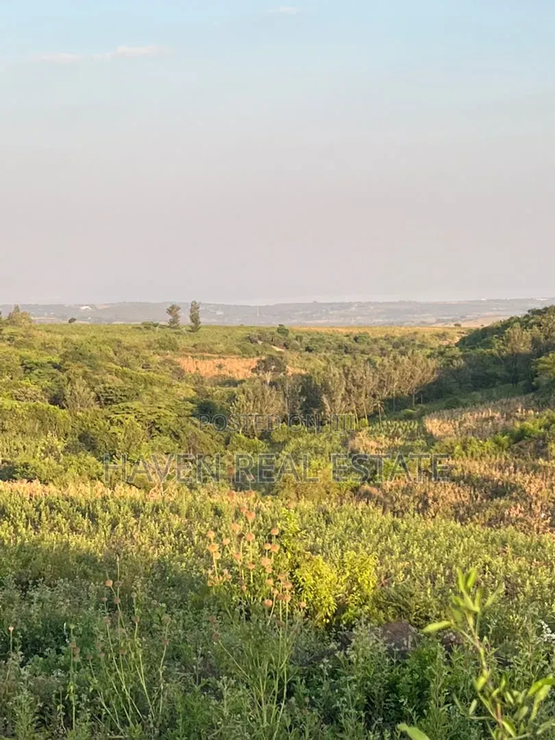 5 Acres With Lake Manyara Manyara Airport View for Sale in Karatu* in Rhotia