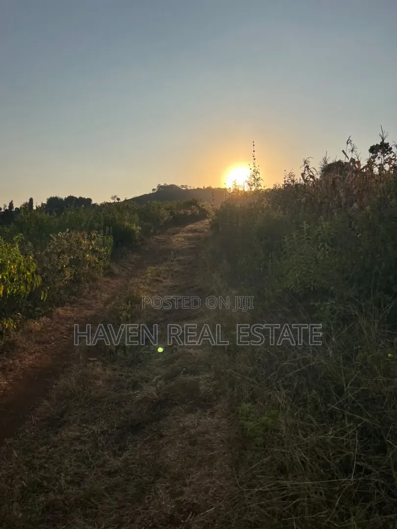 5 Acres With Lake Manyara Manyara Airport View for Sale in Karatu* in Rhotia