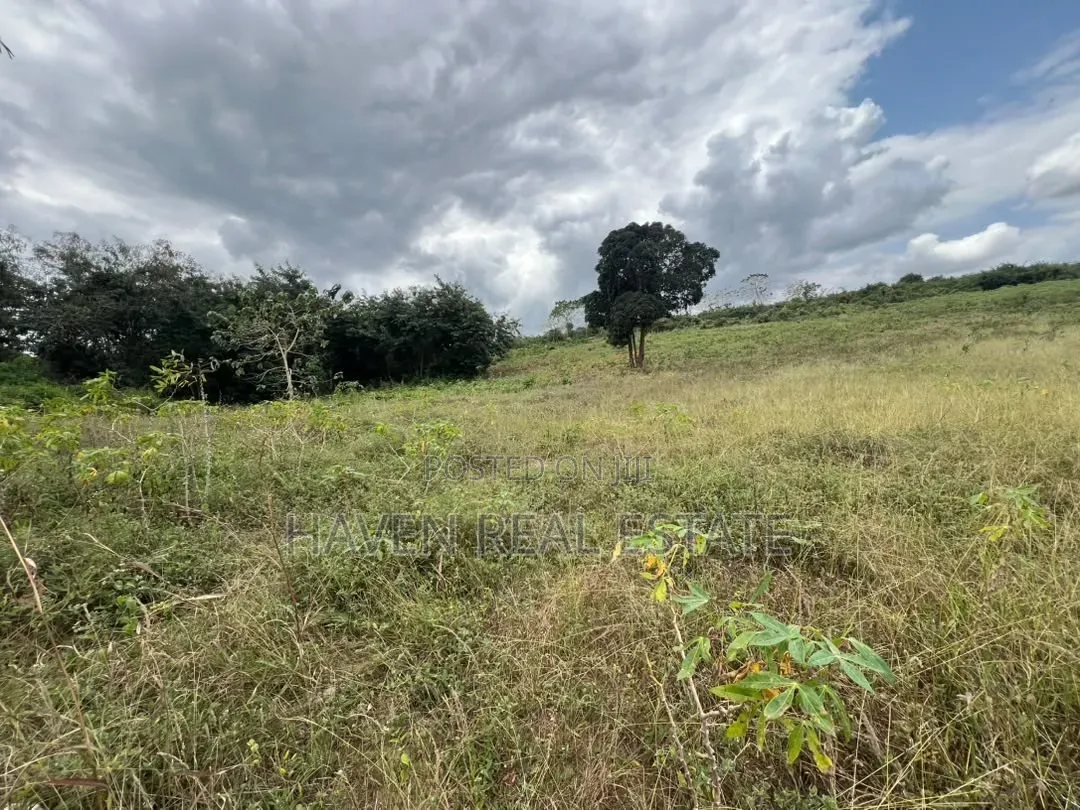*10 Acre Industrial Plot Touching Tarmac for Sale - Mpuyani, Kisarawe* in Masaki