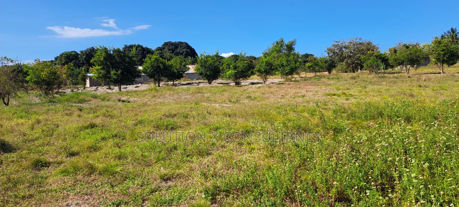 4 Acres for Sale at Kiromo Bagamoyo Pwani in Kiromo
