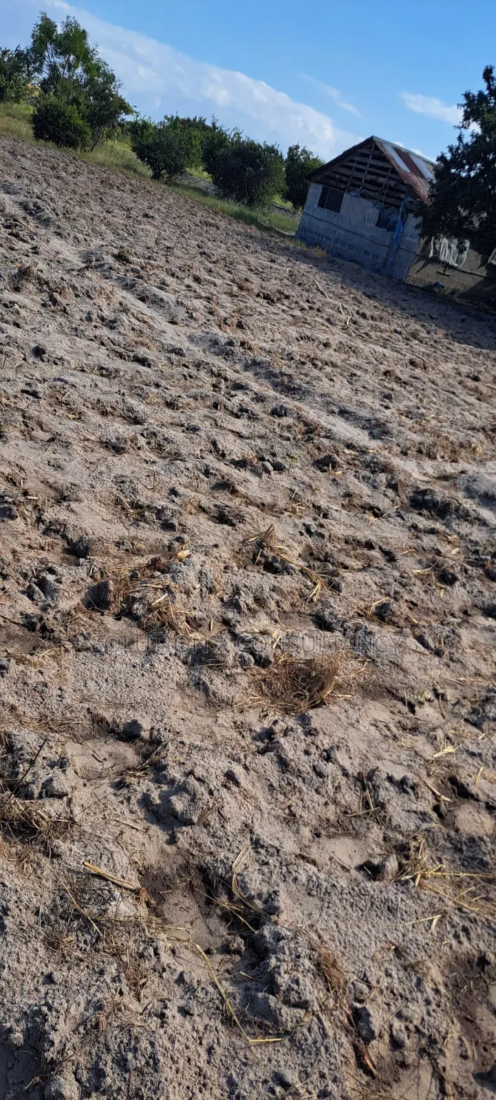 4 Acres for Sale at Kiromo Bagamoyo Pwani in Kiromo