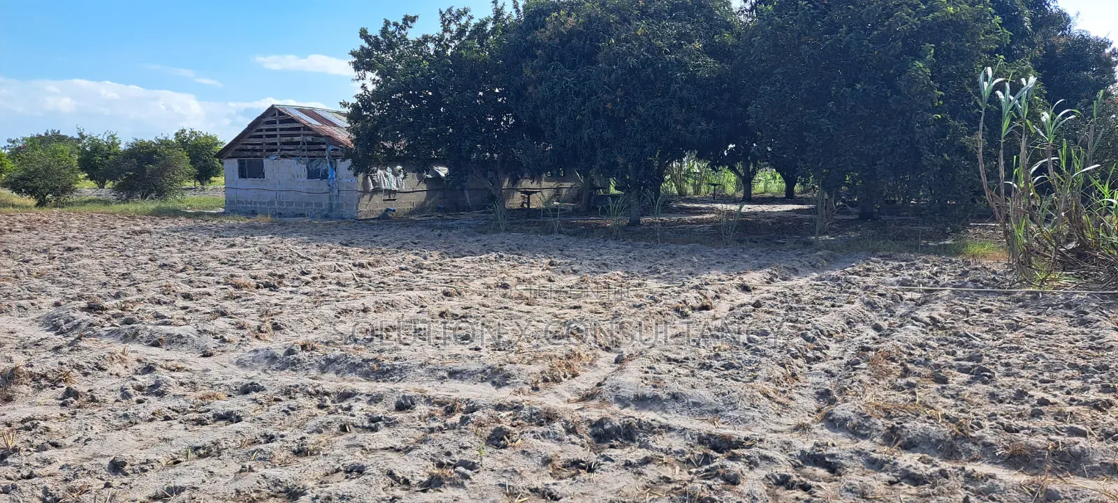 4 Acres for Sale at Kiromo Bagamoyo Pwani in Kiromo