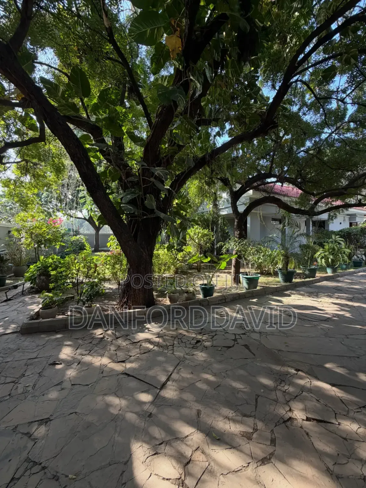 Furnished 3bdrm House in Kahwa Real Estate, Masaki for rent in Masaki