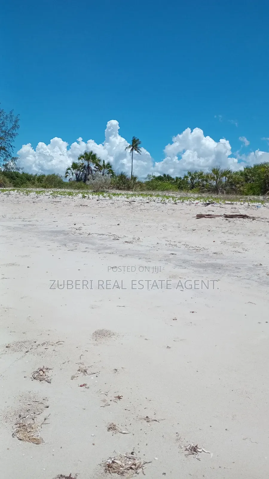 Beach Plot Near Saadani Park. in Mkwaja