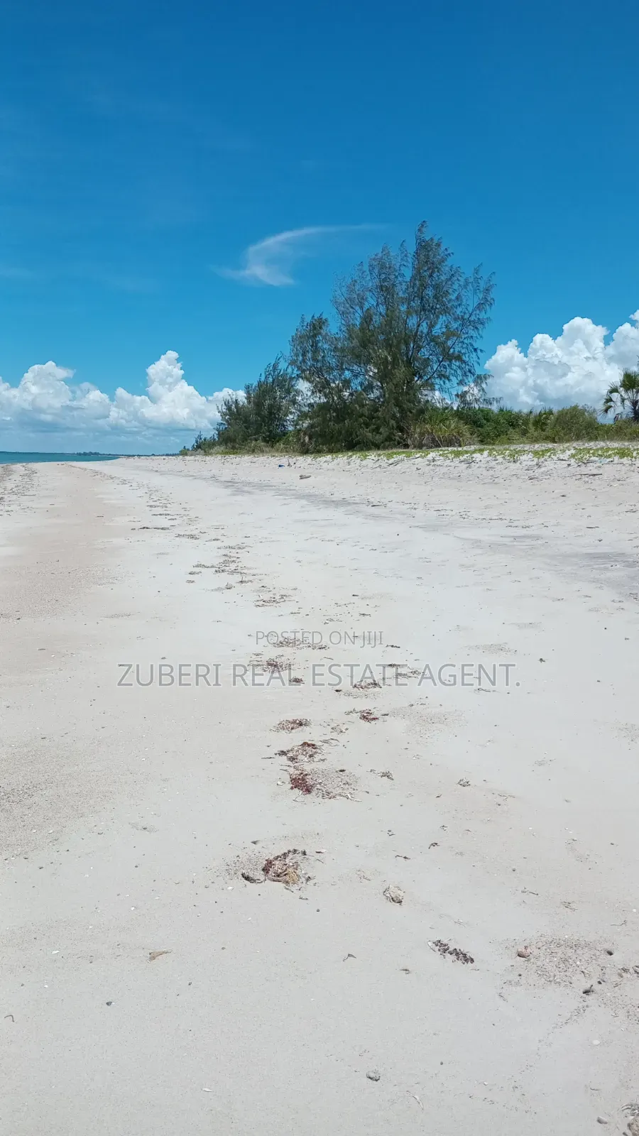 Beach Plot Near Saadani Park. in Mkwaja