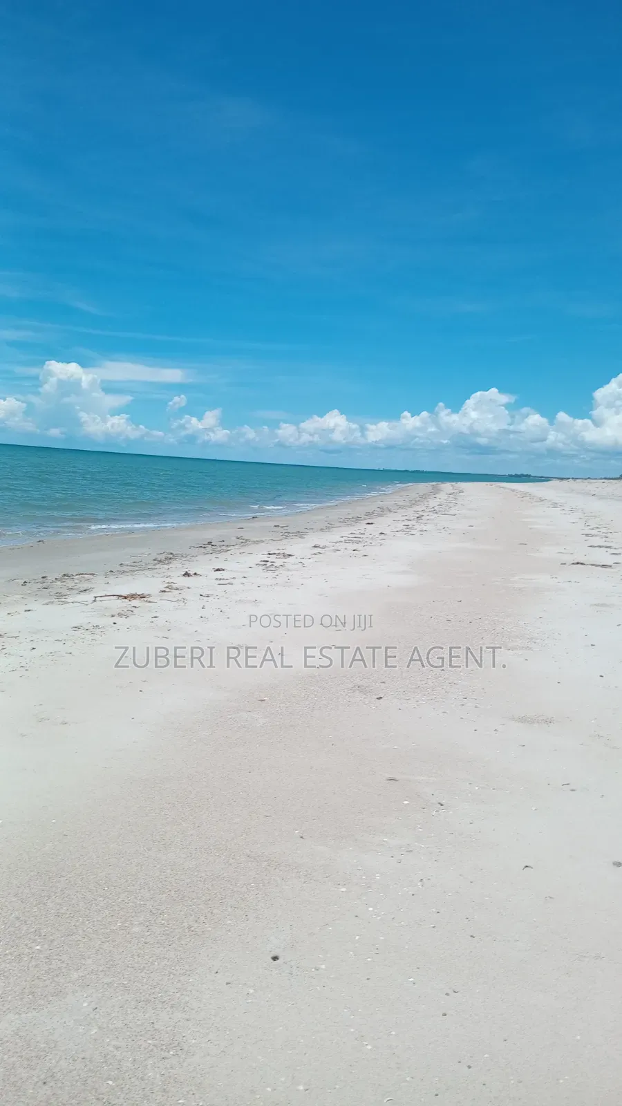 Beach Plot Near Saadani Park. in Mkwaja