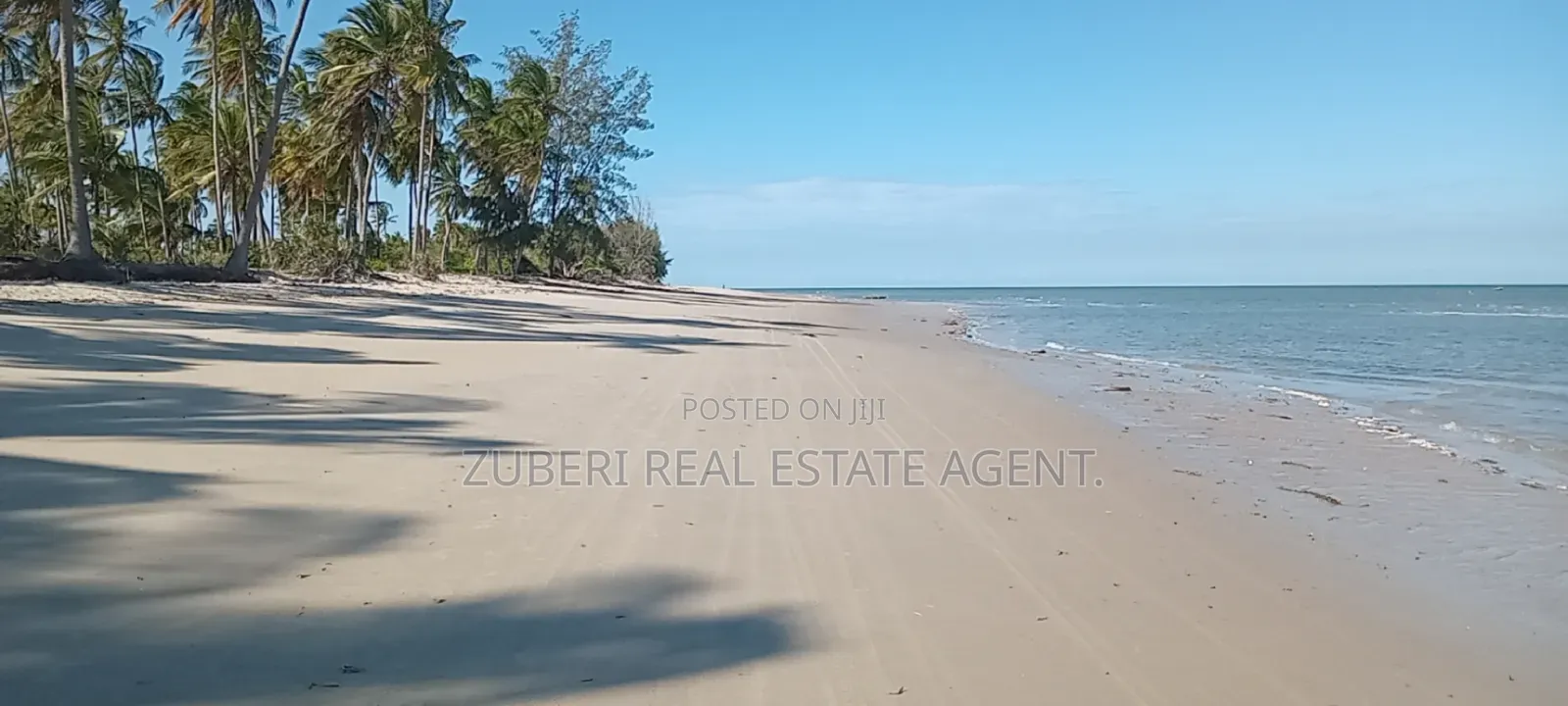 Mkwaja Pangani Beach Plot on Sale in Mkwaja