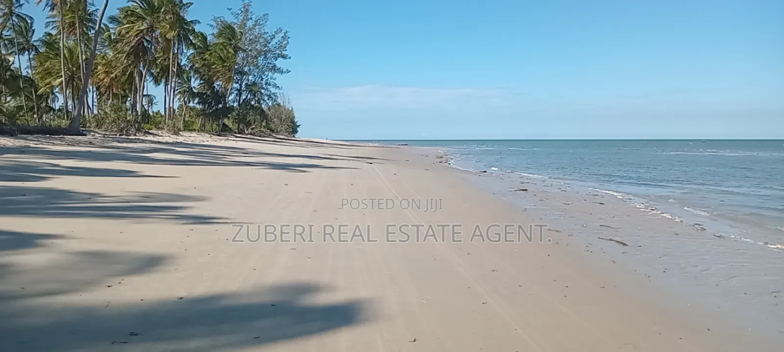 Mkwaja Pangani Beach Plot on Sale in Mkwaja