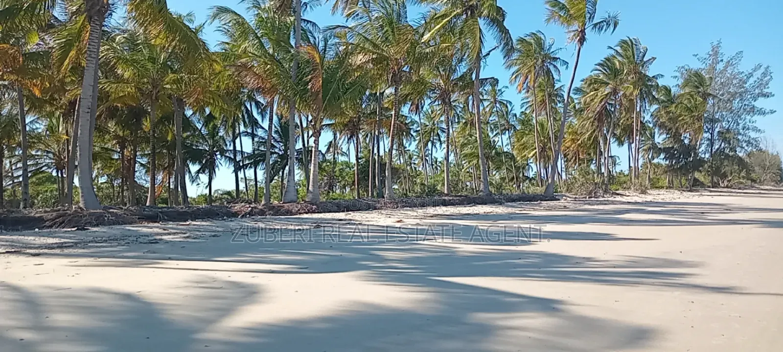 Mkwaja Pangani Beach Plot on Sale in Mkwaja