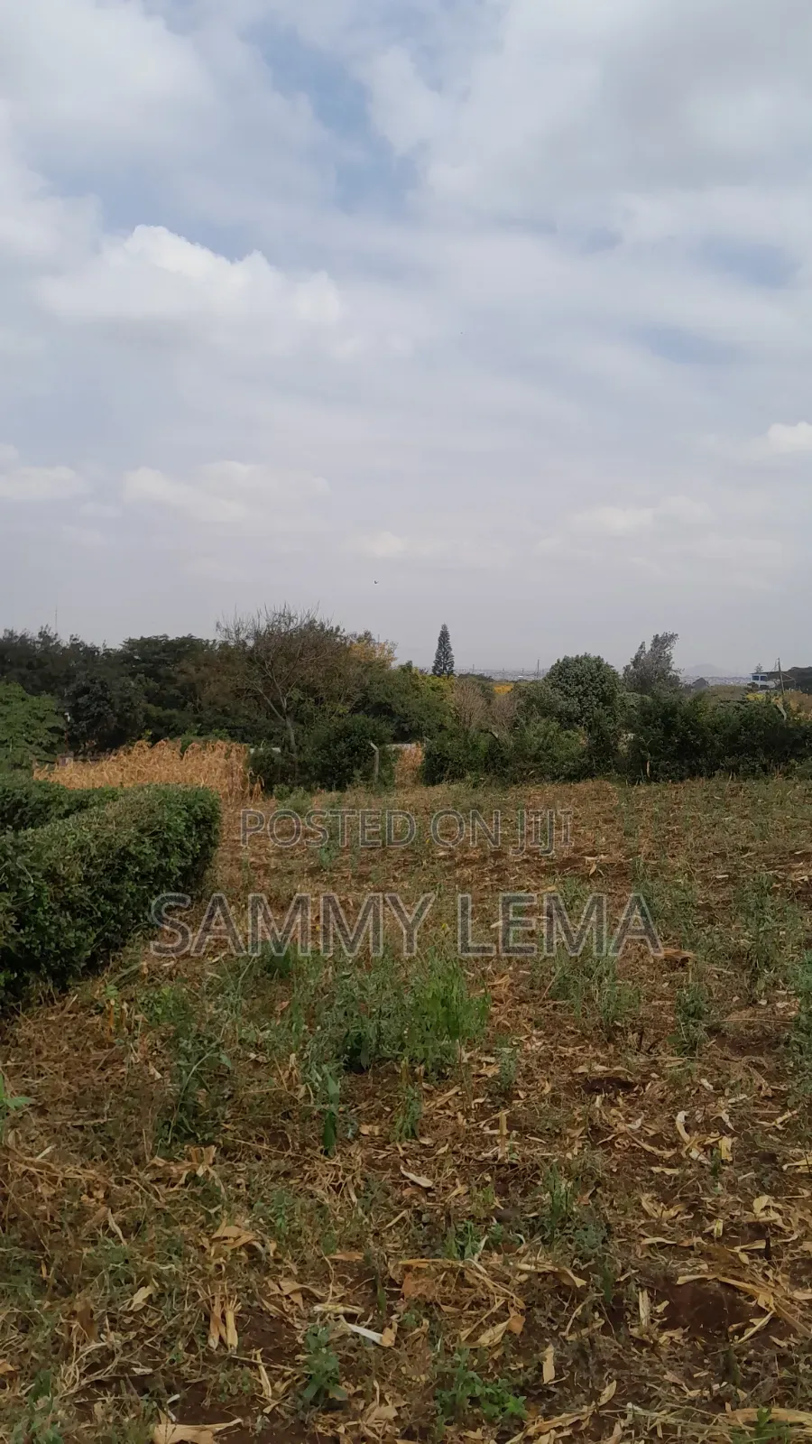 Plot on the Hill for Sale Njiro Arusha in Njiro