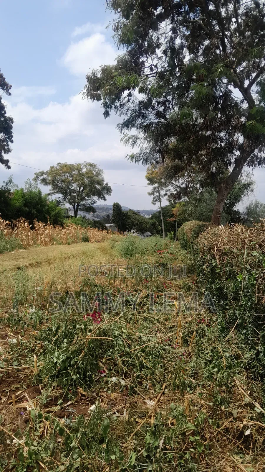 Plot on the Hill for Sale Njiro Arusha in Njiro