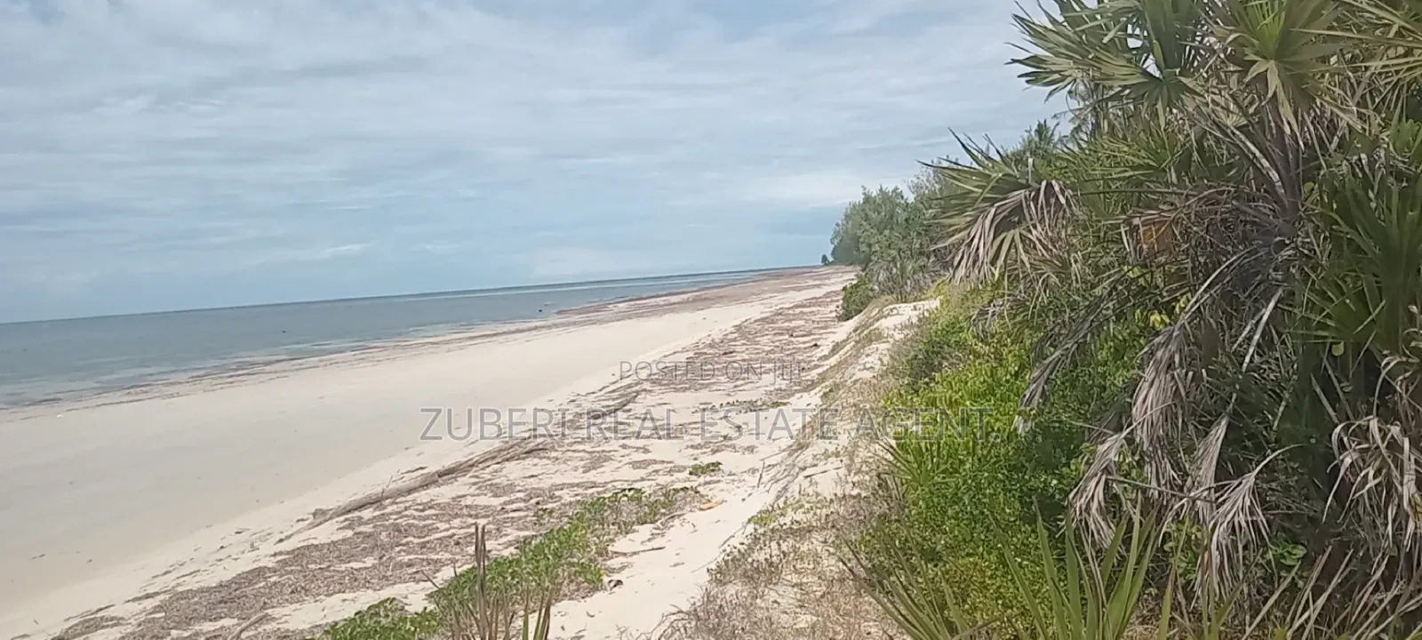 1 Acre Beach Plot on Sale Pangani in Mkwaja