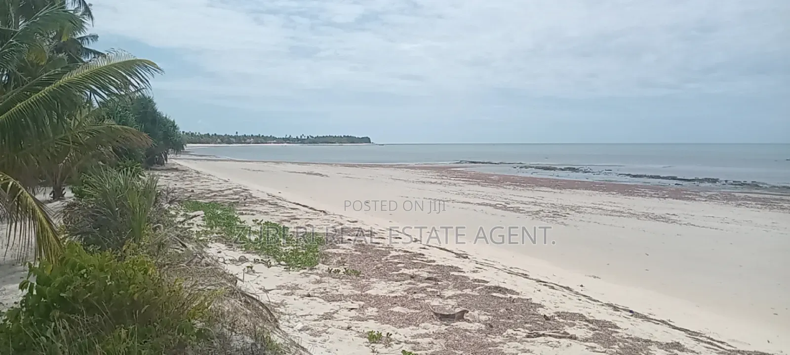 1 Acre Beach Plot on Sale Pangani in Mkwaja