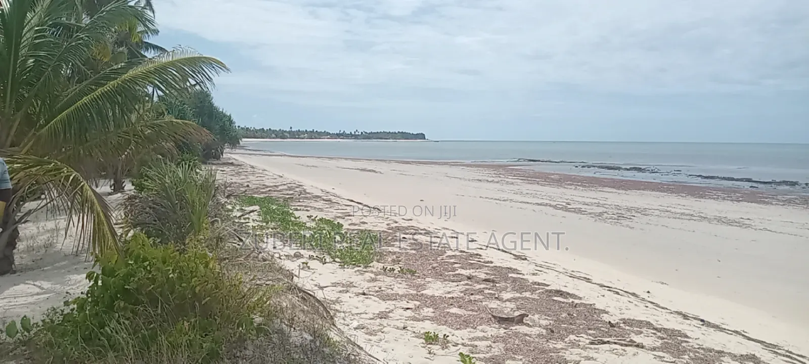 1 Acre Beach Plot on Sale Pangani in Mkwaja