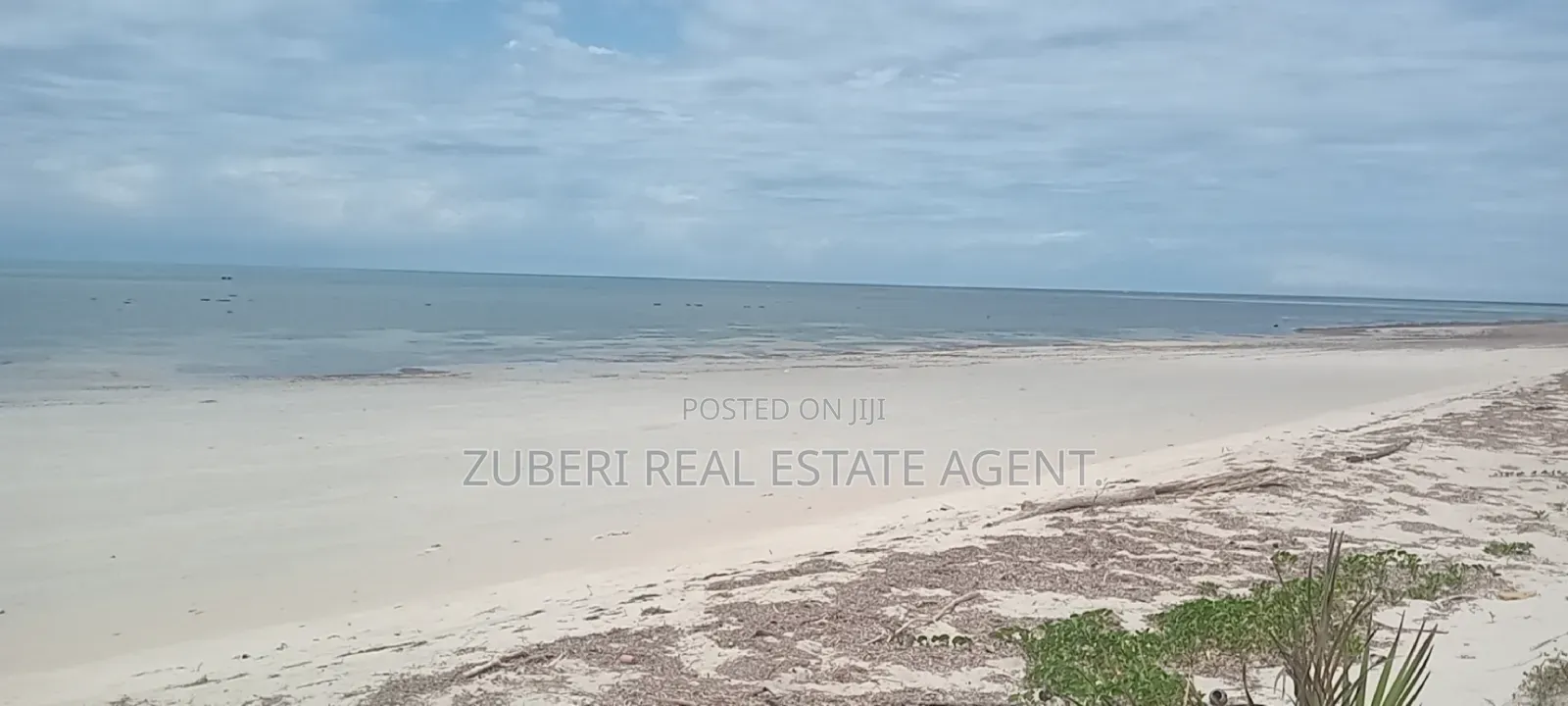 1 Acre Beach Plot on Sale Pangani in Mkwaja